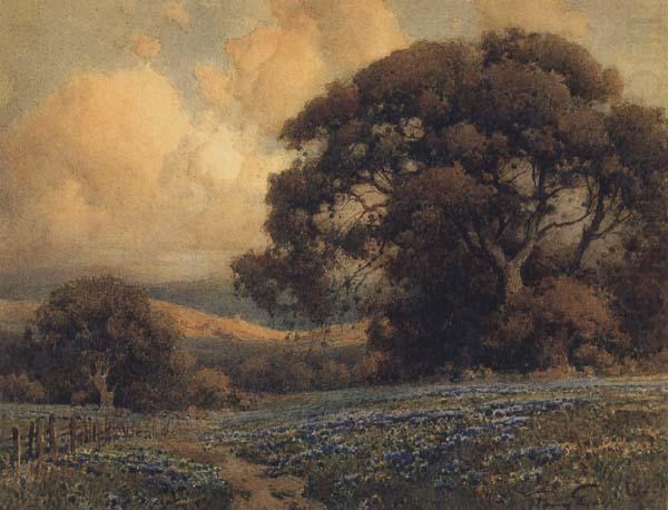 California landscape, unknow artist